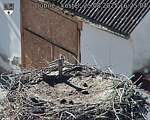 Capi_Dubne_20250825_162504.jpg