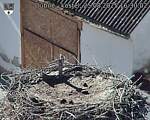Capi_Dubne_20250825_163002.jpg
