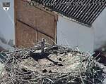 Capi_Dubne_20250825_163503.jpg