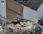 Capi_Dubne_20250825_164503.jpg