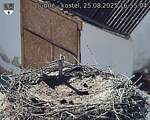 Capi_Dubne_20250825_165504.jpg
