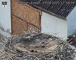 Capi_Dubne_20250825_175004.jpg