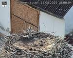 Capi_Dubne_20250825_180004.jpg