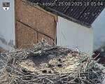 Capi_Dubne_20250825_180504.jpg