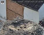 Capi_Dubne_20250825_181004.jpg