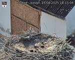 Capi_Dubne_20250825_181504.jpg