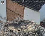 Capi_Dubne_20250825_182004.jpg