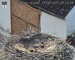 Capi_Dubne_20250825_182504.jpg