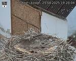 Capi_Dubne_20250825_192004.jpg