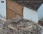 Capi_Dubne_20250825_193002.jpg