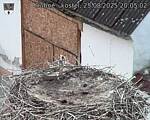 Capi_Dubne_20250825_200502.jpg