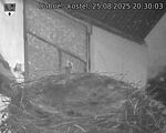 Capi_Dubne_20250825_203003.jpg
