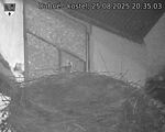 Capi_Dubne_20250825_203503.jpg