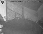 Capi_Dubne_20250825_214002.jpg