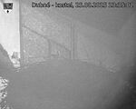Capi_Dubne_20250825_233502.jpg