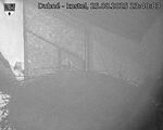 Capi_Dubne_20250825_234003.jpg