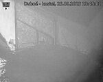 Capi_Dubne_20250825_234502.jpg