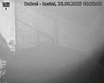 Capi_Dubne_20250826_002502.jpg