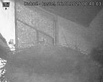 Capi_Dubne_20250826_004003.jpg