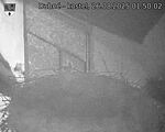 Capi_Dubne_20250826_015002.jpg