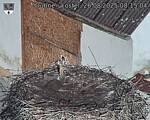 Capi_Dubne_20250826_081504.jpg