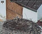 Capi_Dubne_20250826_100003.jpg