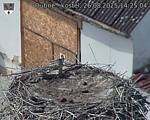 Capi_Dubne_20250826_142504.jpg