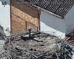 Capi_Dubne_20250826_152502.jpg