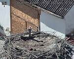 Capi_Dubne_20250826_153004.jpg