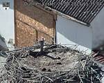 Capi_Dubne_20250826_153504.jpg