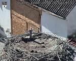 Capi_Dubne_20250826_154502.jpg