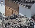 Capi_Dubne_20250826_155003.jpg
