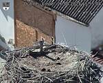 Capi_Dubne_20250826_155504.jpg