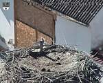 Capi_Dubne_20250826_160004.jpg