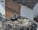 Capi_Dubne_20250826_161002.jpg