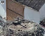 Capi_Dubne_20250826_161503.jpg