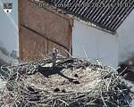 Capi_Dubne_20250826_163002.jpg