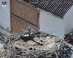 Capi_Dubne_20250826_163504.jpg