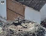 Capi_Dubne_20250826_164004.jpg