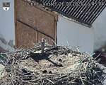 Capi_Dubne_20250826_164504.jpg