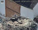 Capi_Dubne_20250826_170002.jpg