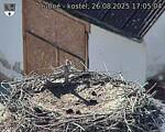 Capi_Dubne_20250826_170504.jpg