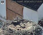 Capi_Dubne_20250826_171503.jpg