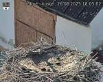 Capi_Dubne_20250826_180502.jpg