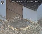 Capi_Dubne_20250826_190003.jpg