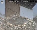 Capi_Dubne_20250826_190503.jpg