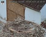 Capi_Dubne_20250826_192005.jpg