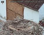 Capi_Dubne_20250826_194003.jpg