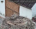 Capi_Dubne_20250826_195003.jpg