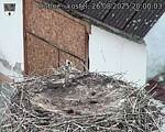 Capi_Dubne_20250826_200003.jpg